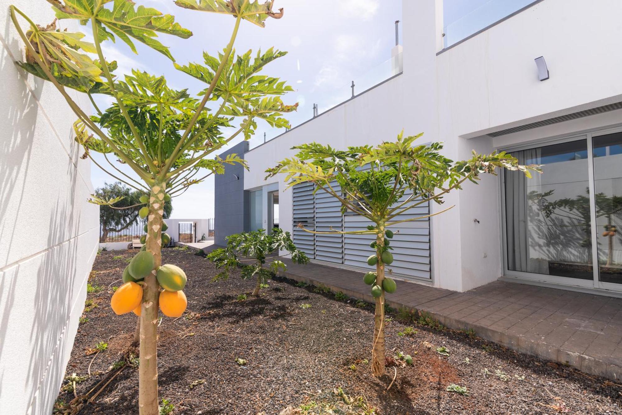 House Near The Beach W Sea View Arico 外观 照片